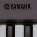 Коллекция Синтезаторы Yamaha 37 наименований стоимостью от 12200 до 999990 руб. Синтезаторы Ямаха  – одни из самых востребованных и знаменитых. Это признанный ориентир профессионалов, предмет гордости начинающих музыкантов, а также повод для зависти среди меломанов. Великолепная техническая начинка инструмента в сочетании с элегантностью и качеством исполнения – бесспорные плюсы бренда. Синтезаторы и рабочие станции Yamaha – музыкальный инструмент лучших.